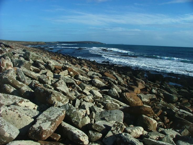Shoreline