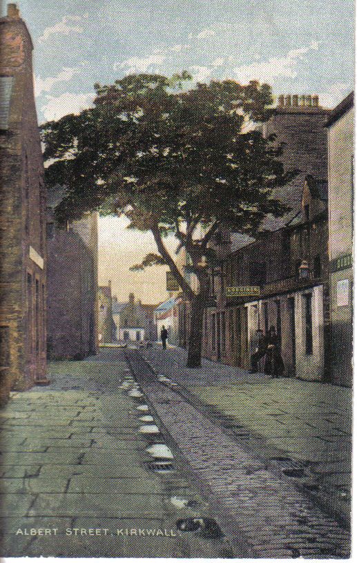 Looking up Albert Street