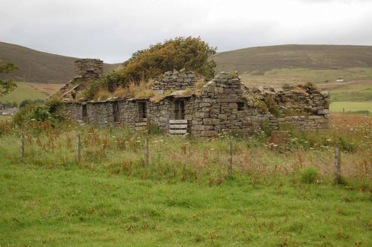 Gerwin - Original Wilson Farmhouse
