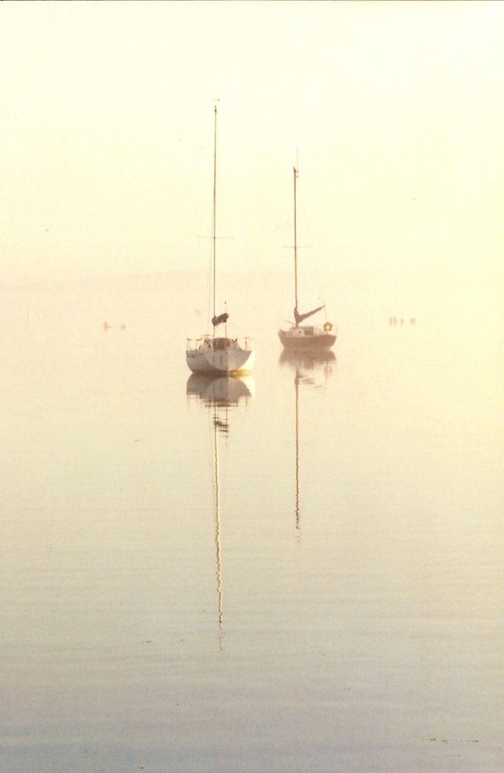Two Yachts