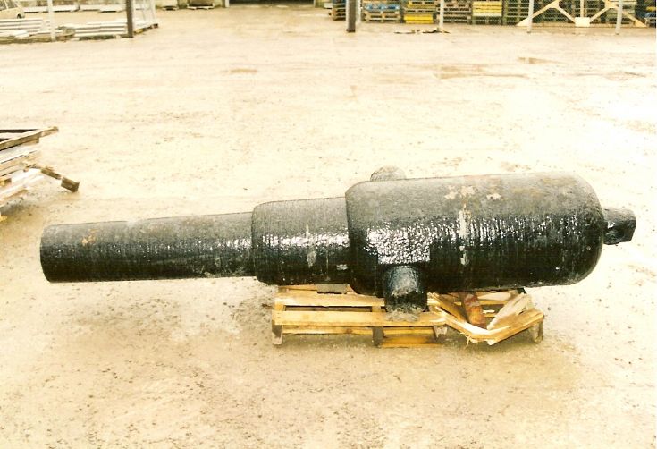 Cannon
