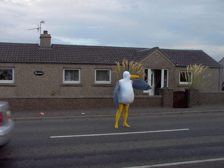 Conducting the traffic at the fancy dress parade.