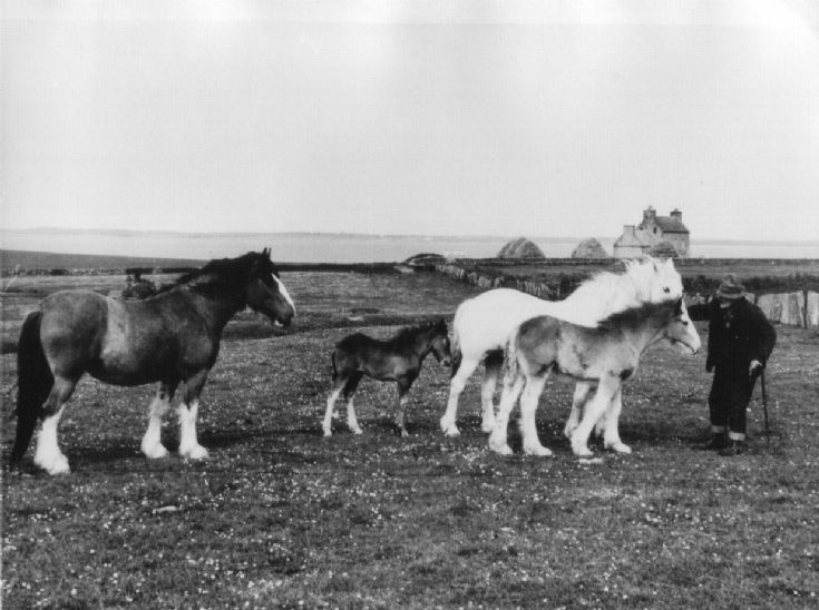 'Jock o' Brough'