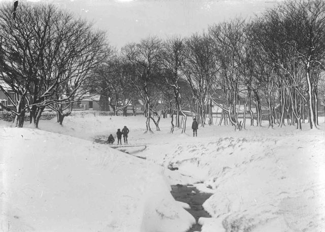 Willow Burn in Winter