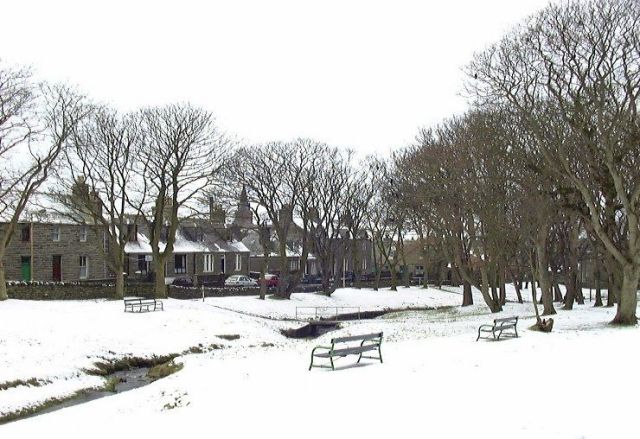 Willow Burn in Winter