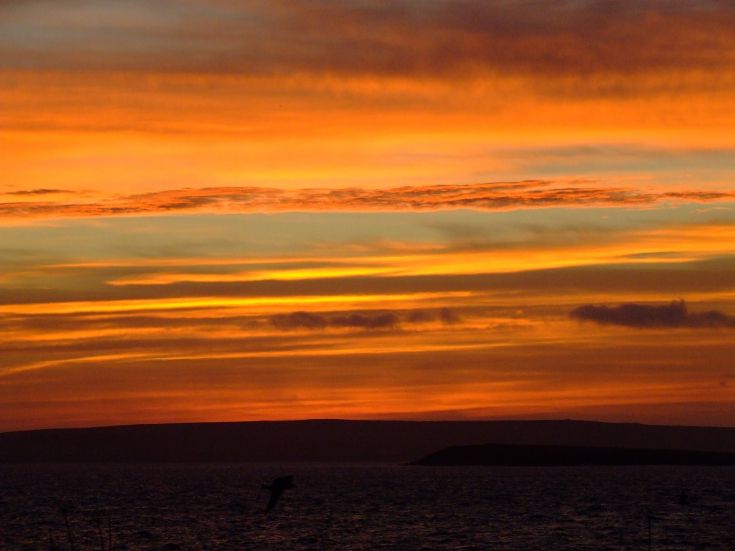 Another Eday sunrise