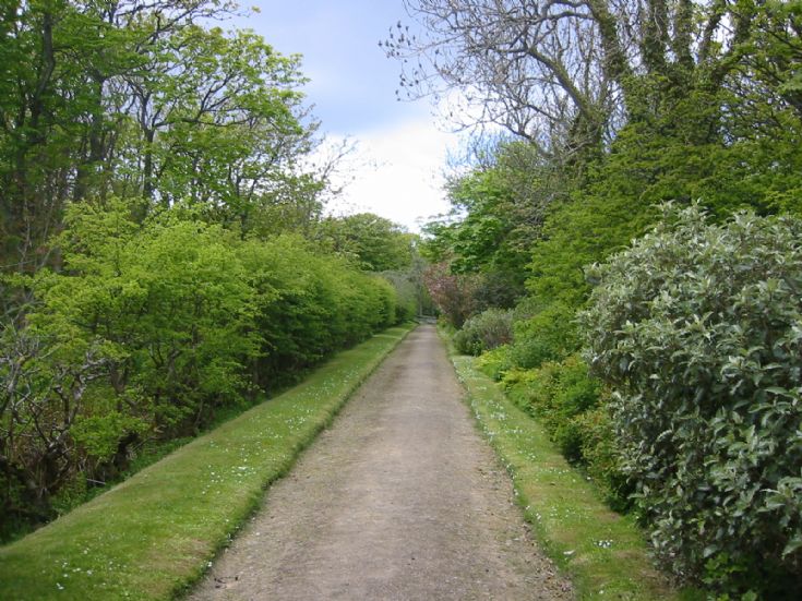 Lady's Walk, Balfour Castle gardens