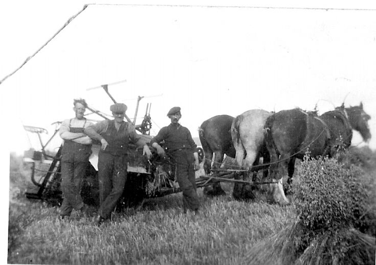 Harvest at Quoybanks
