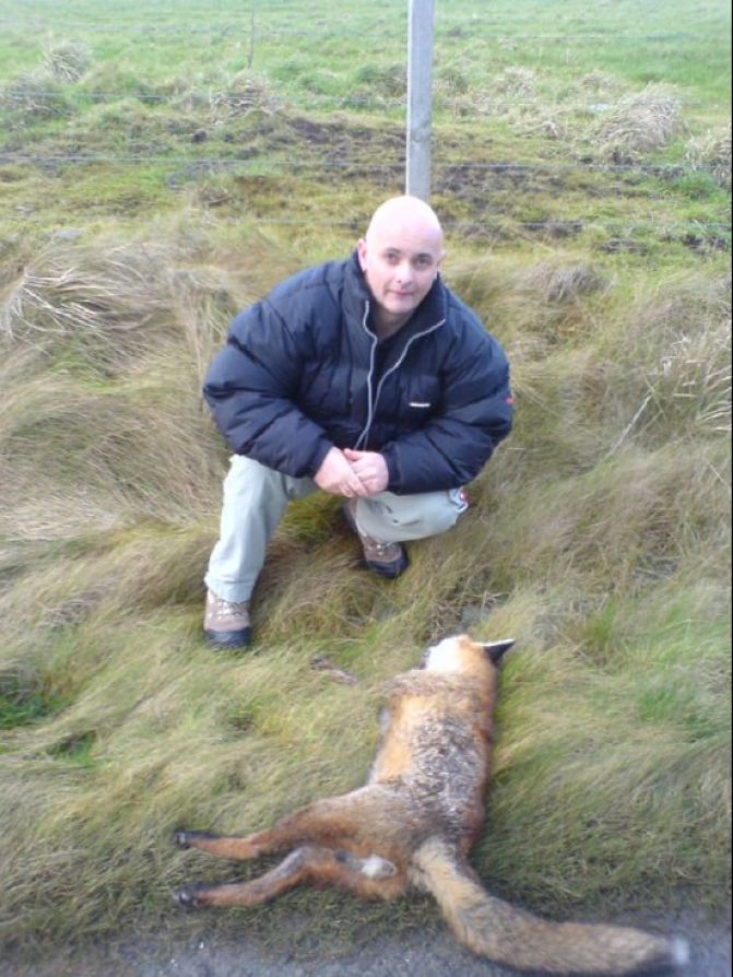 Orkney Fox ?