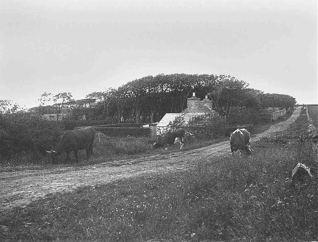 Papdale Cottage, Papdale Loan