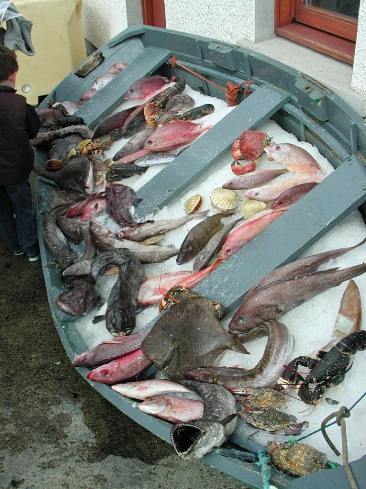 Stromness Food Festival
