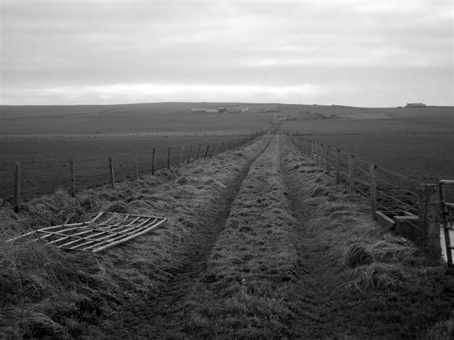 Never ending road