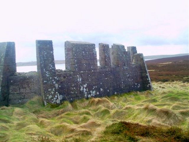 YM on Golta peninsula, Flotta