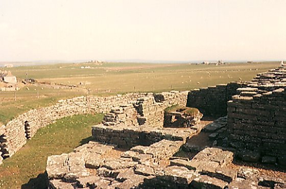Cubbie Roo Castle, Wyre