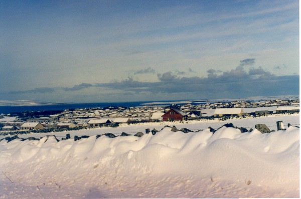 Snow scene