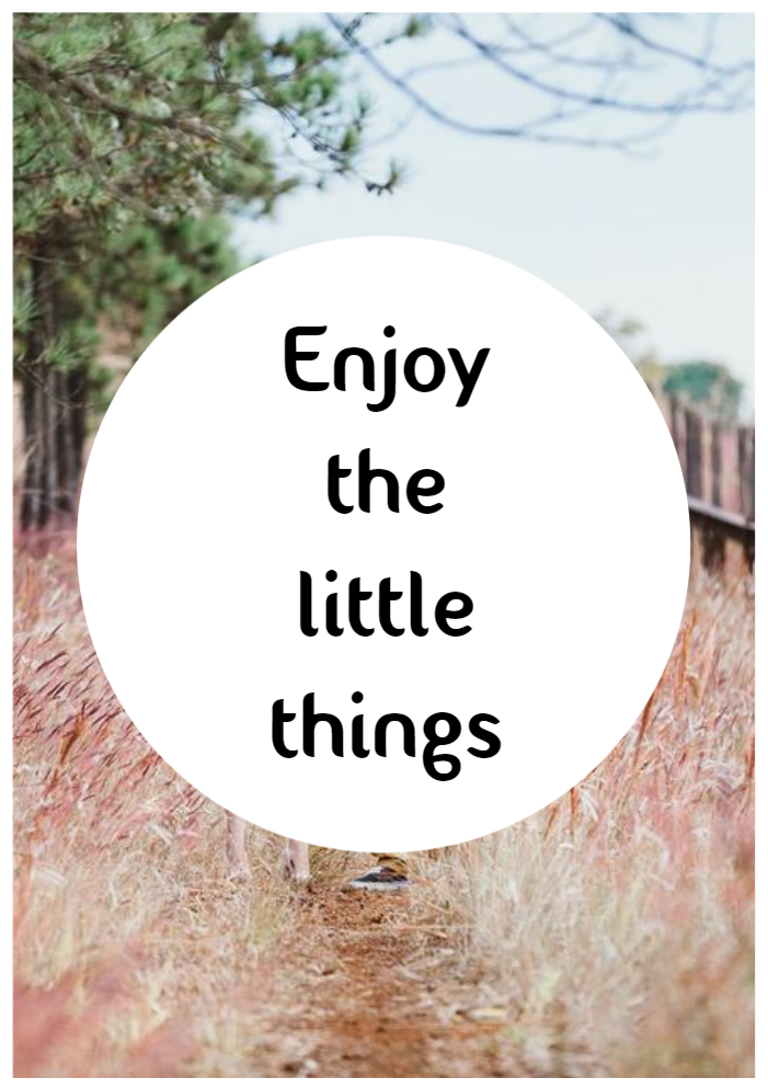 Nature _ Basic 002 _ 1P