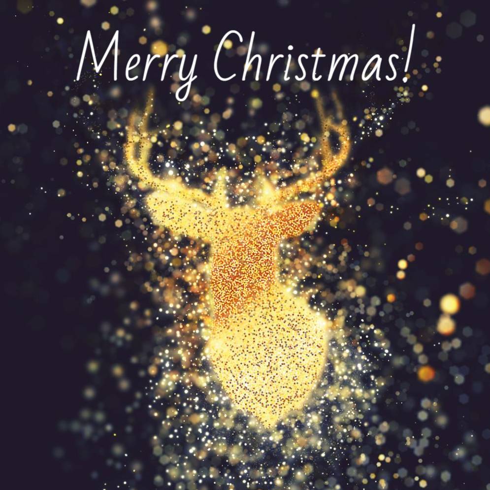 Basic _ Design 09125 _ All _ Christmas Cards Square unFolded