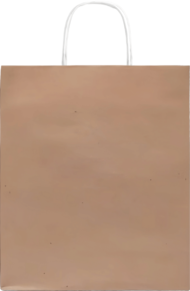 Paper Bag Small _Brown_