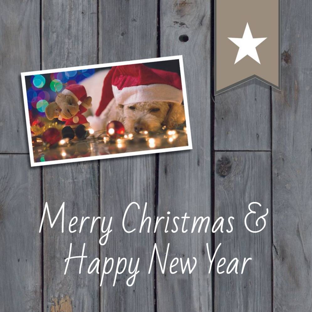 Basic _ Design 04515 _ All _ Christmas Cards Square unFolded