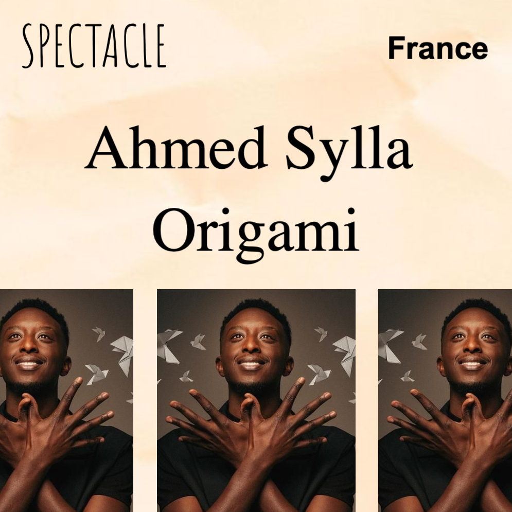 Ahmed Sylla - Origami