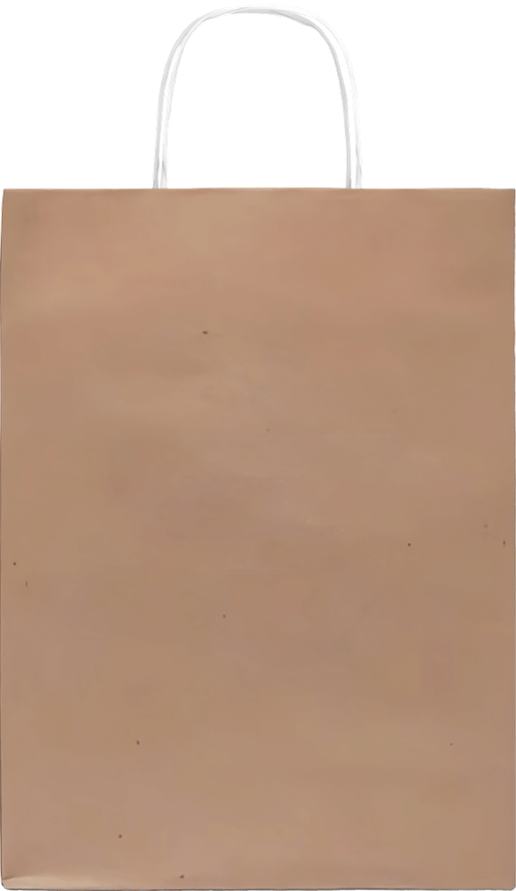 Paper Bag Medium _Brown_