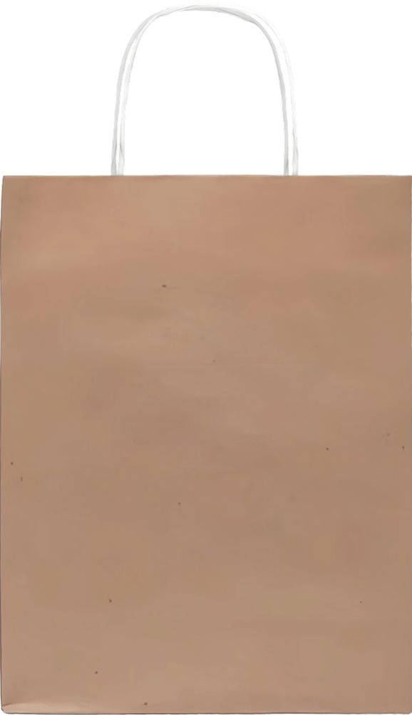 Paper Bag Large _Brown_