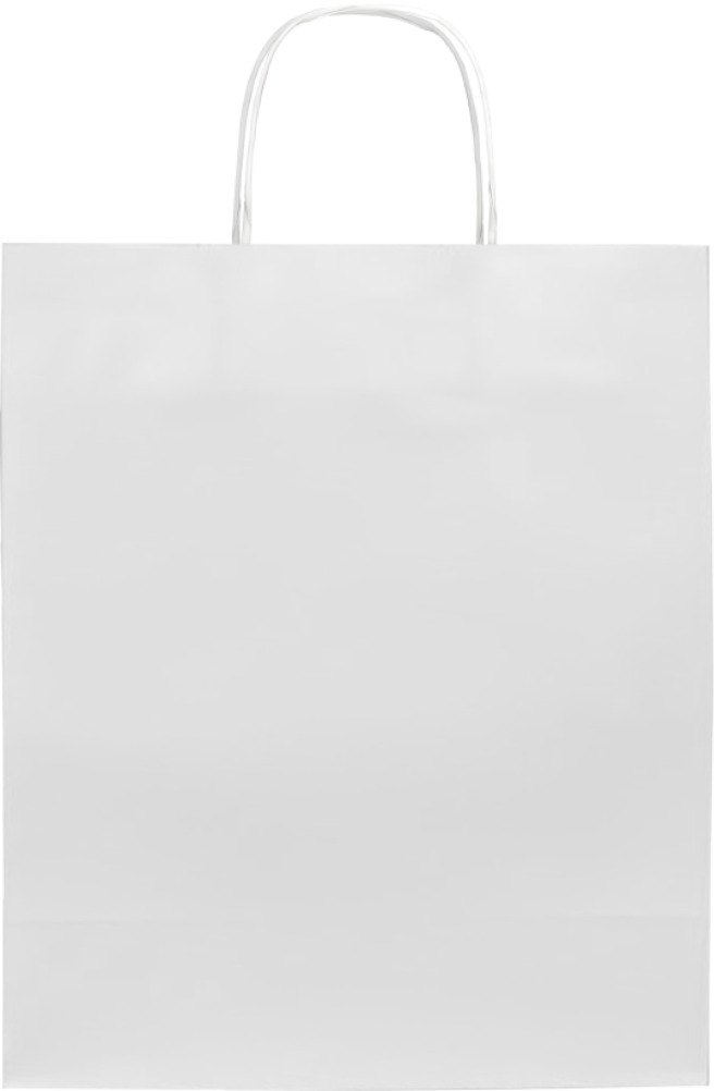 Paper Bag Small _White_