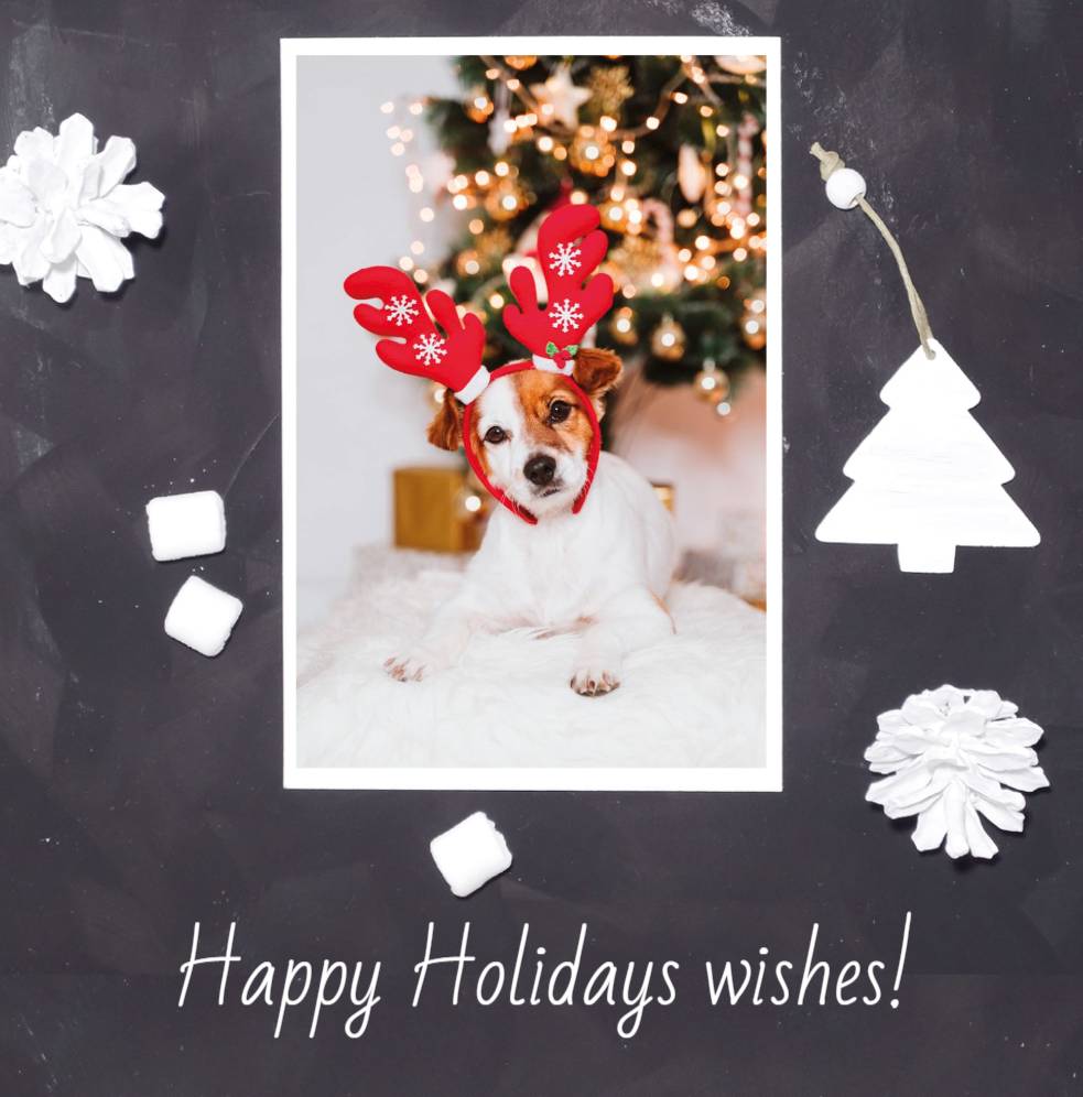 Basic _ Design 09110 _ All _ Christmas Cards Square unFolded