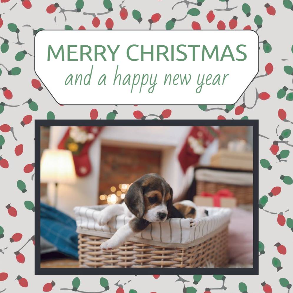 Basic _ Design 06110 _ All _ Christmas Cards Square unFolded