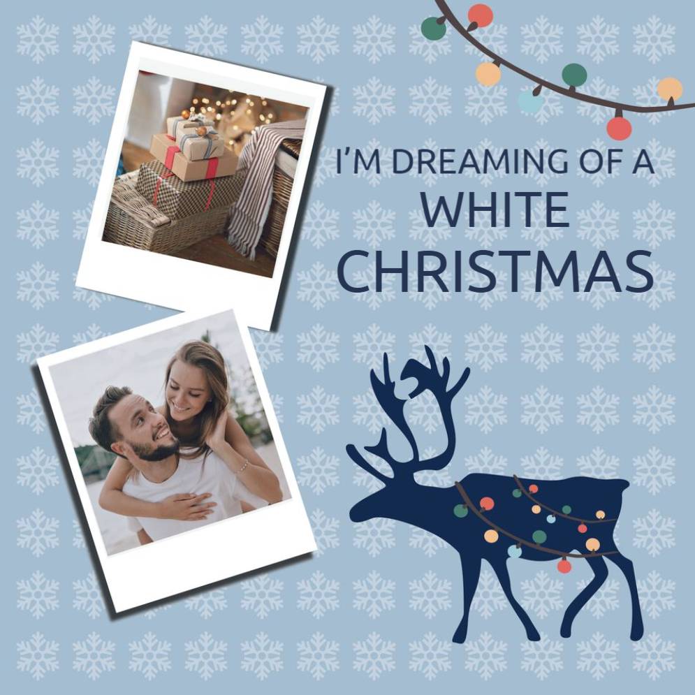 Basic _ Design 02130 _ All _ Christmas Cards Square unFolded