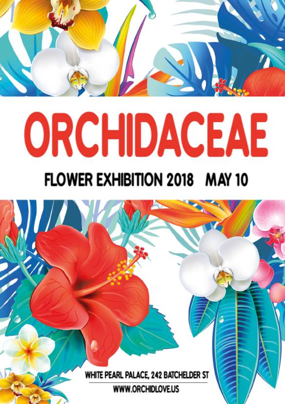 Flowers _ 030 _ 1P _ Flyer A3