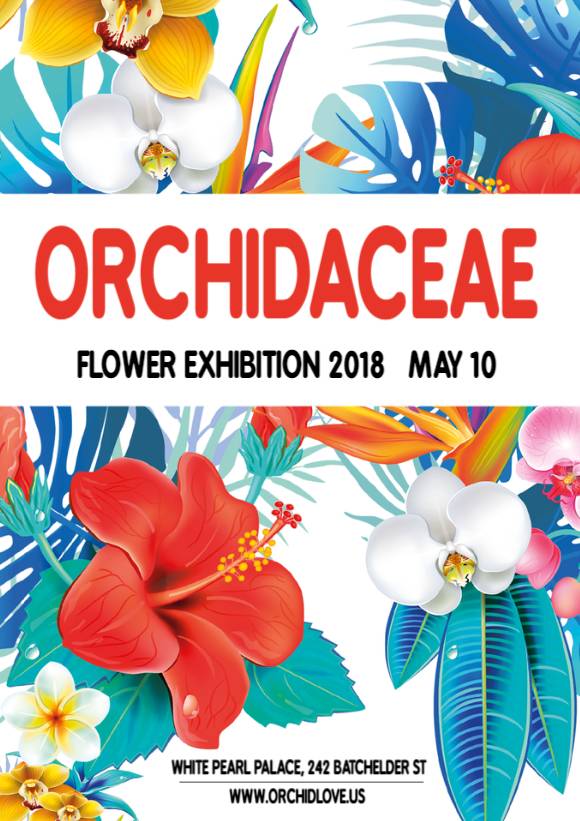 Flowers _ 030 _ 1P _ Flyer A4