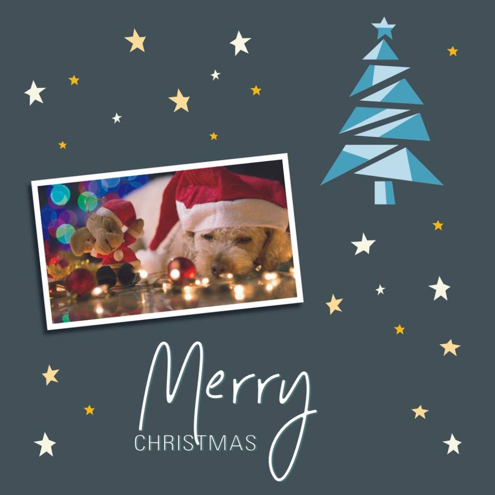 Basic _ Design 05110 _ All _ Christmas Cards Square unFolded