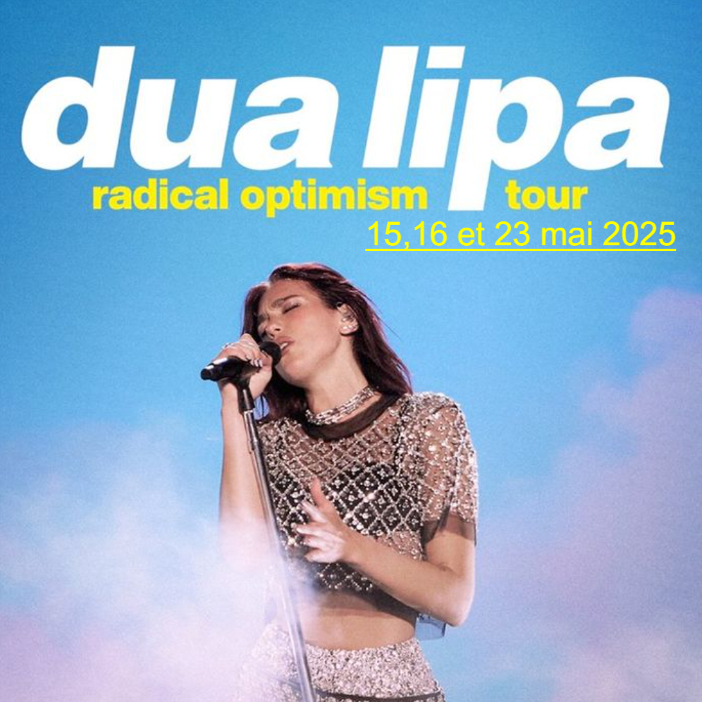 Dua Lipa en concert
