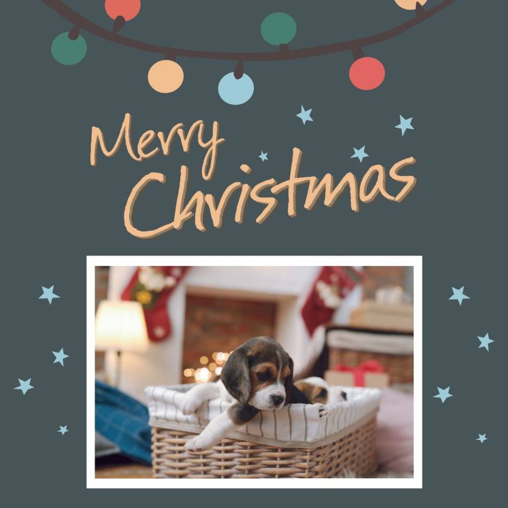 Basic _ Design 05125 _ All _ Christmas Cards Square unFolded