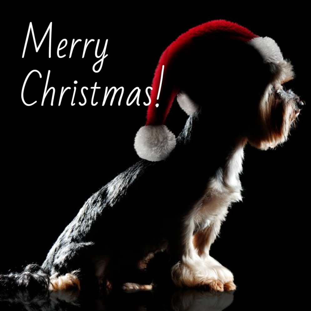 Basic _ Design 05510 _ All _ Christmas Cards Square unFolded