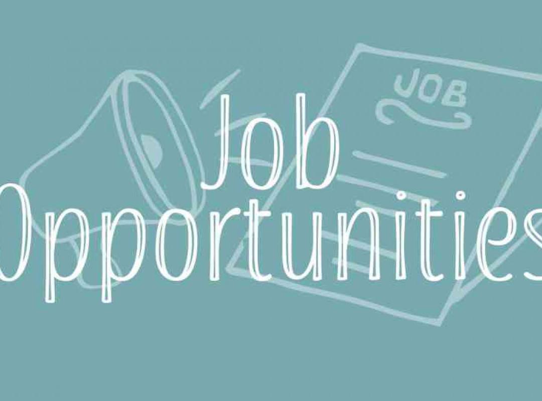Job Opportunities image