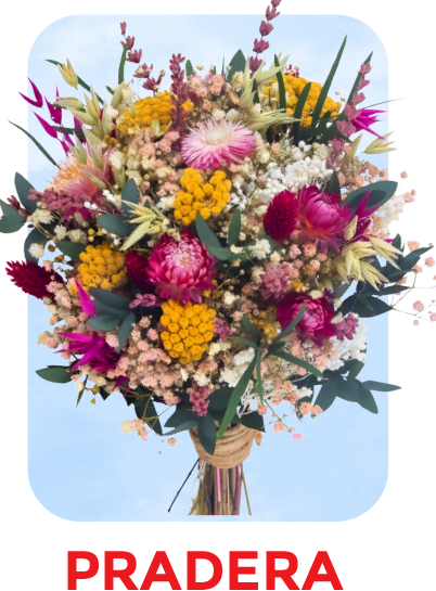 PRADERA