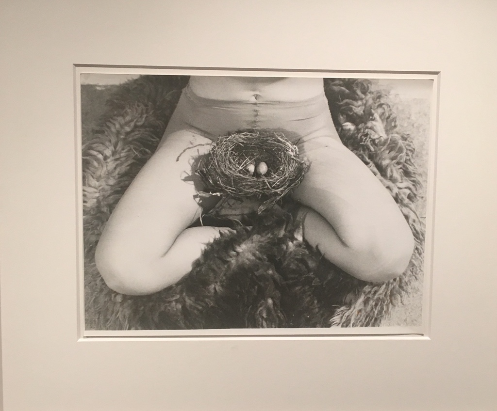 Img 0819