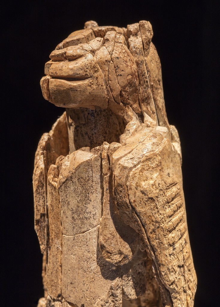 Lion man head