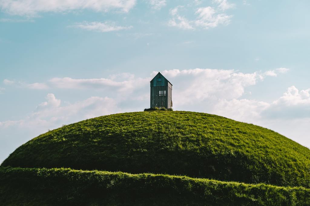 Robin ooode vmlghwlnzzi unsplash