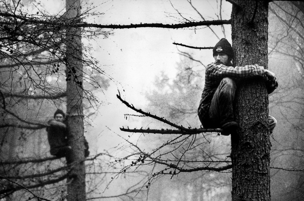 Rs253 andrew testa  protestors occupy trees after identifying which police  bailiffs and tree surgeons were targeting that day  1996. %c2%a9 andrew testa