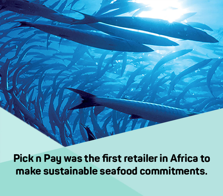 Pick n Pay was the first retailer in Africa to make sustainable seafood commitments.