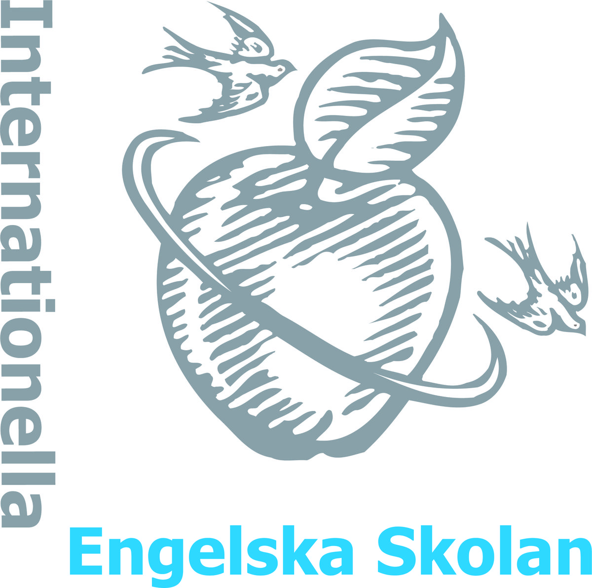 HRIS to Internationella Engelska Skolan (IES)
