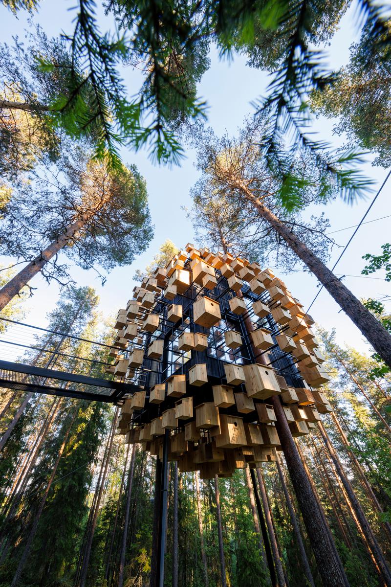Treehotel