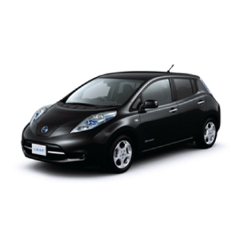 Nissan Leaf Icon 2
