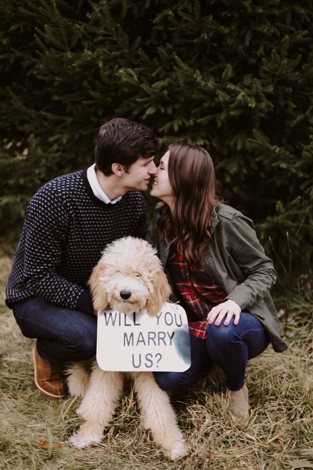 marriage proposal idea with a pet