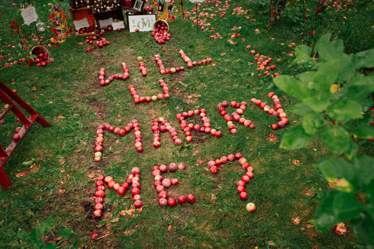 eco-friendly marriage proposal idea with apples