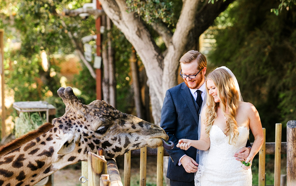zoo wedding