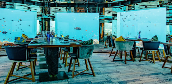 Dofinansowanie na otwarcie lub rozwój gastronomii Dofinansowanie na otwarcie lub rozwój gastronomii